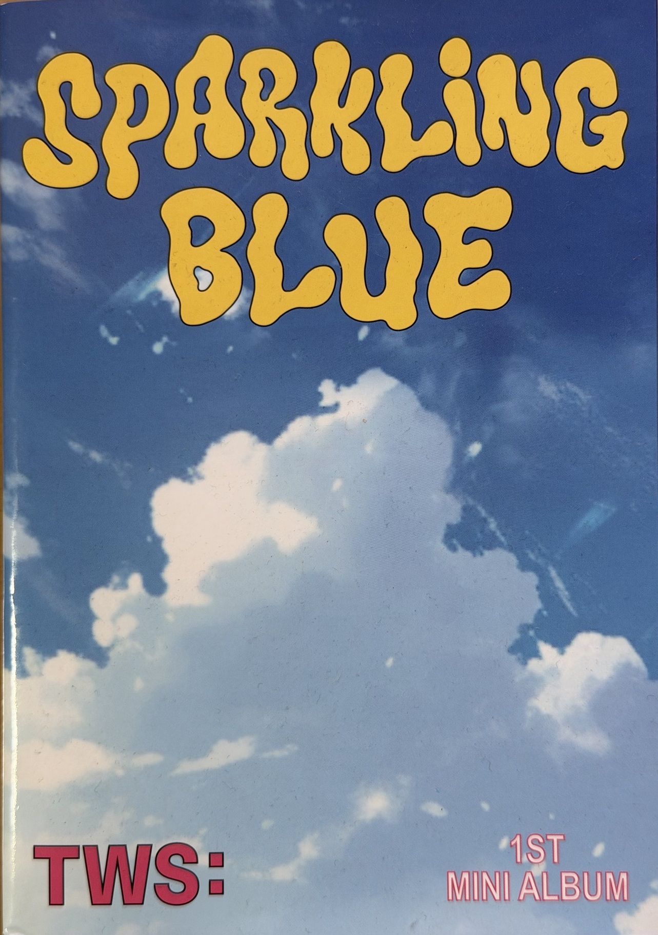 TWS WVS電子專空專