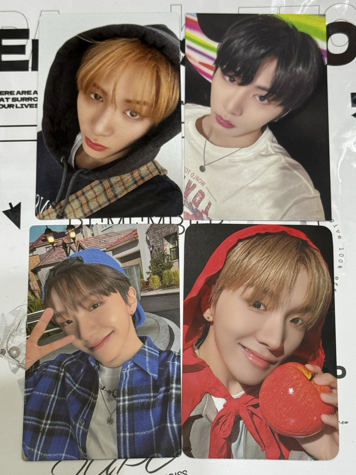 🤖泰山&雲鶴 漂亮紙片