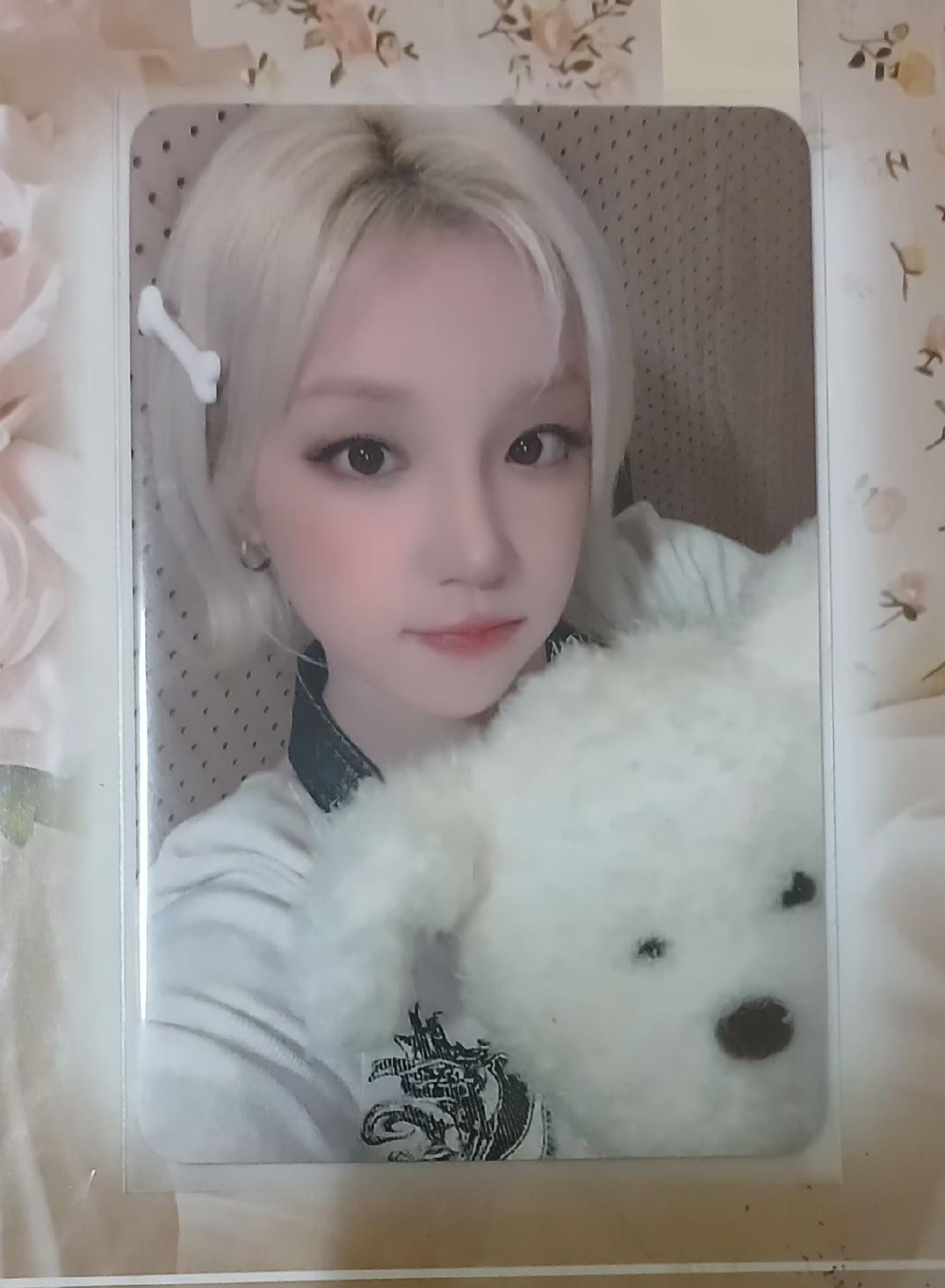 idle 迷八 HL狗狗琦