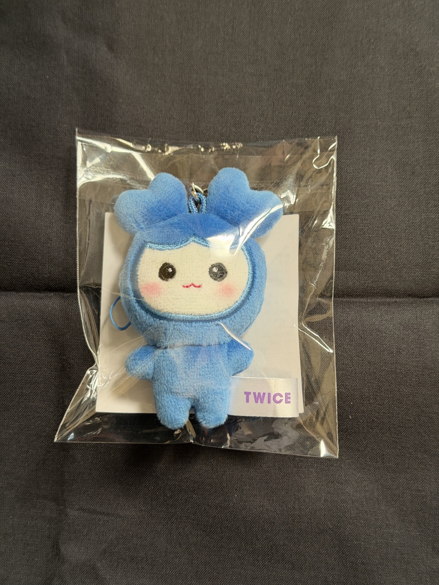 十週年 fan meeting 豆豆眼 子瑜