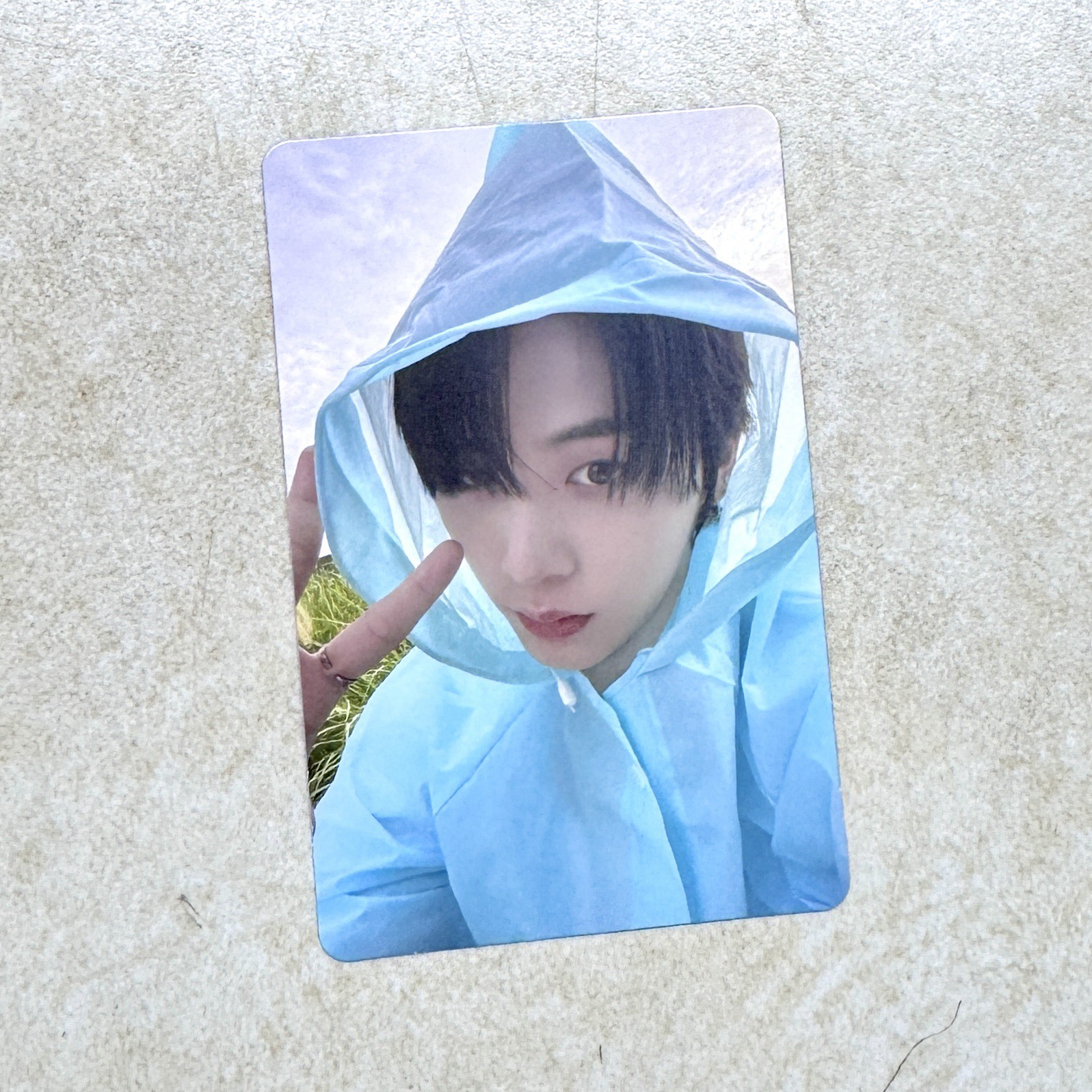 泰山 / The Action cu特典卡