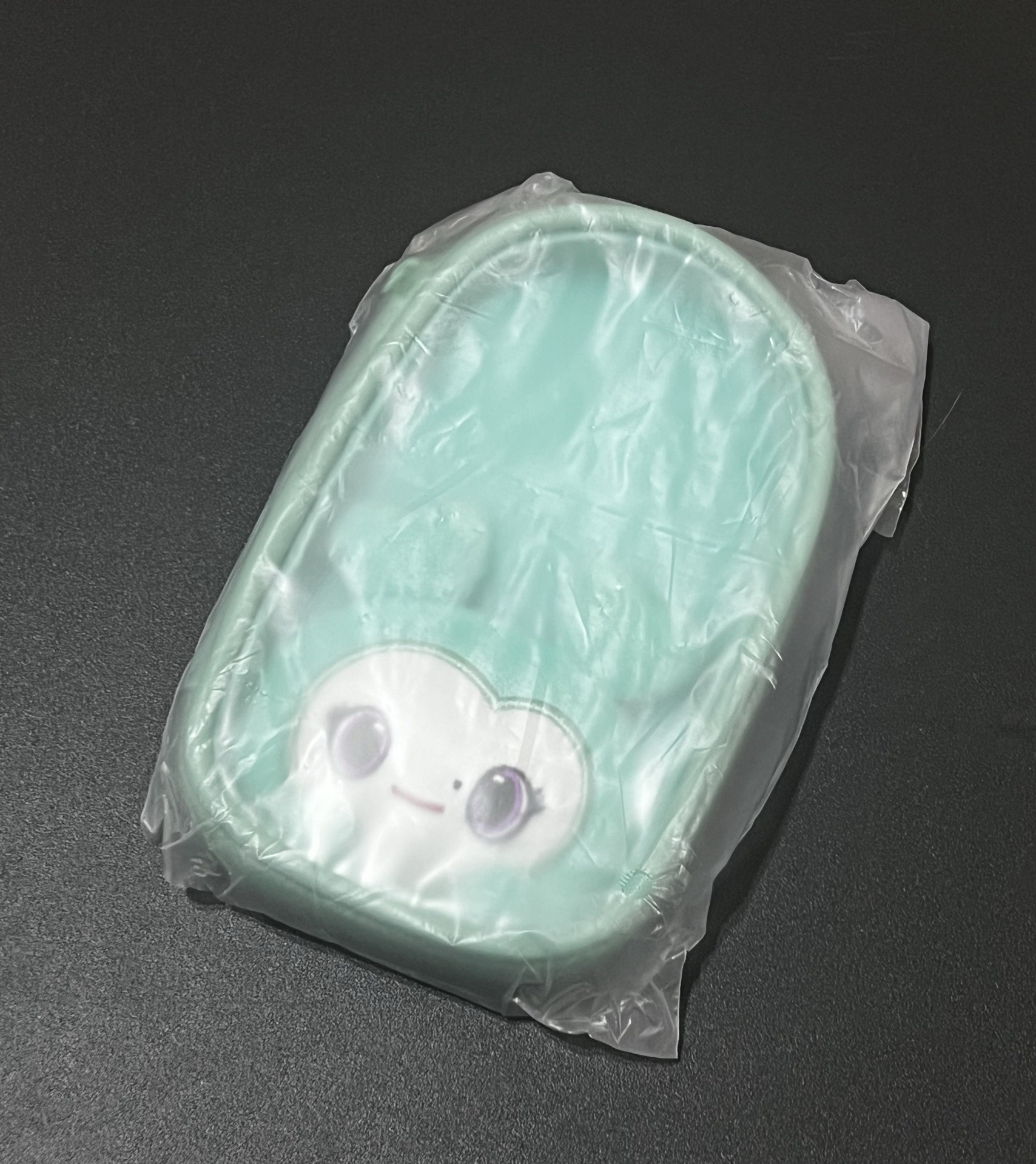 全新南立牌包-B