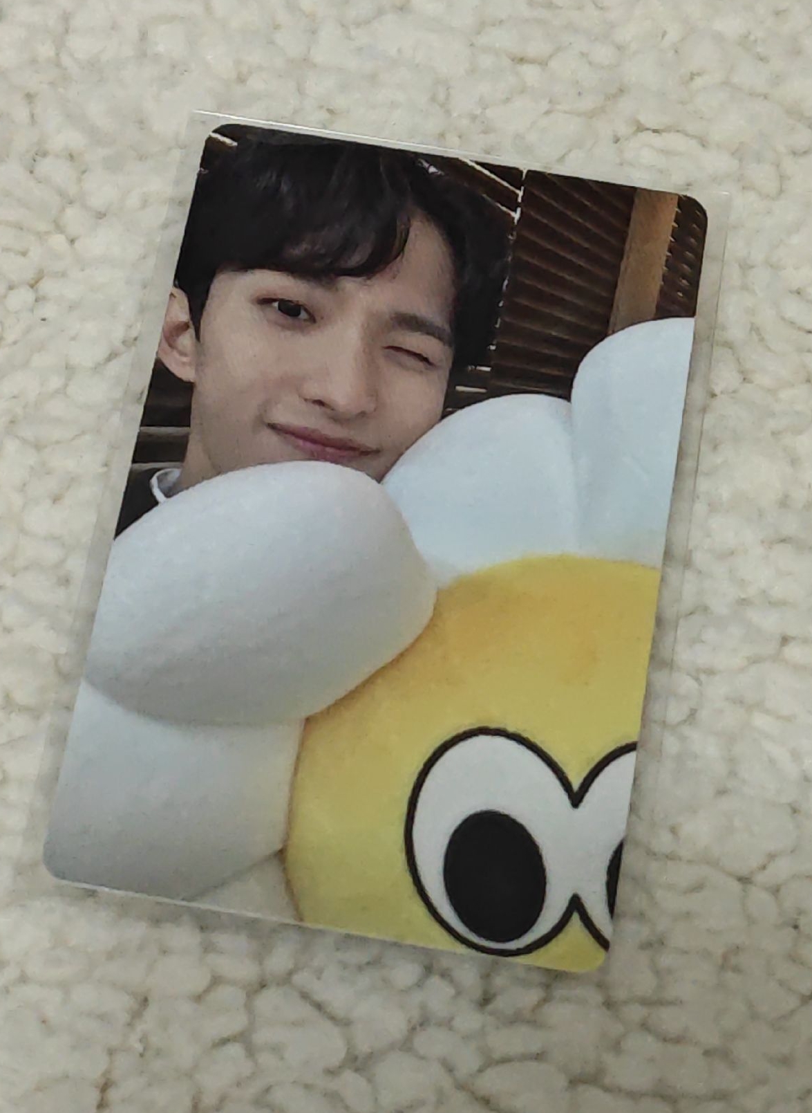 follow again仁川場限 碩