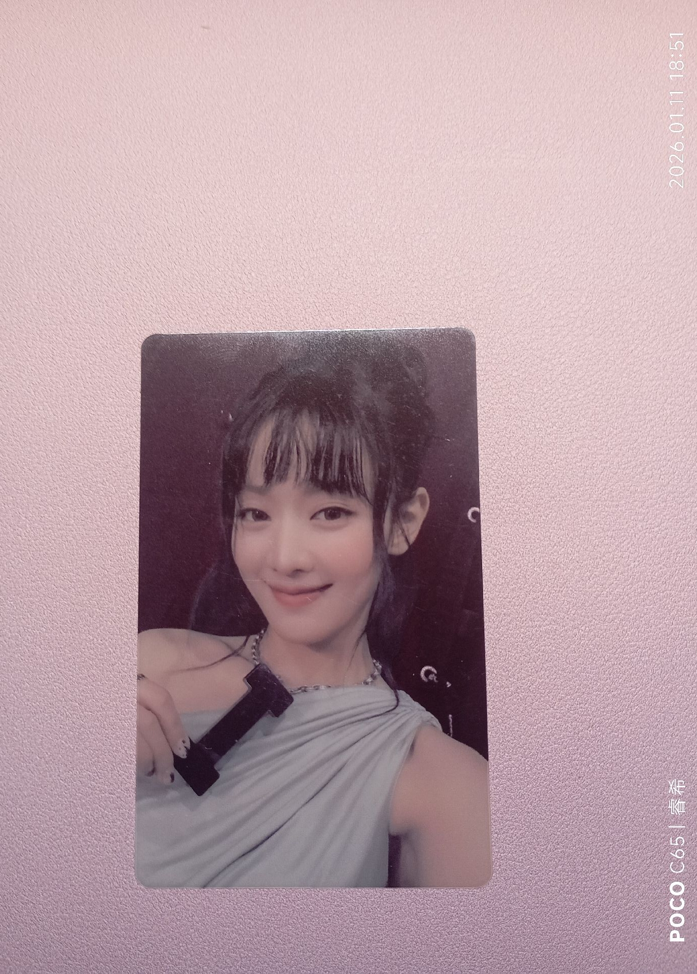 米妮 wvs 1.0 透卡