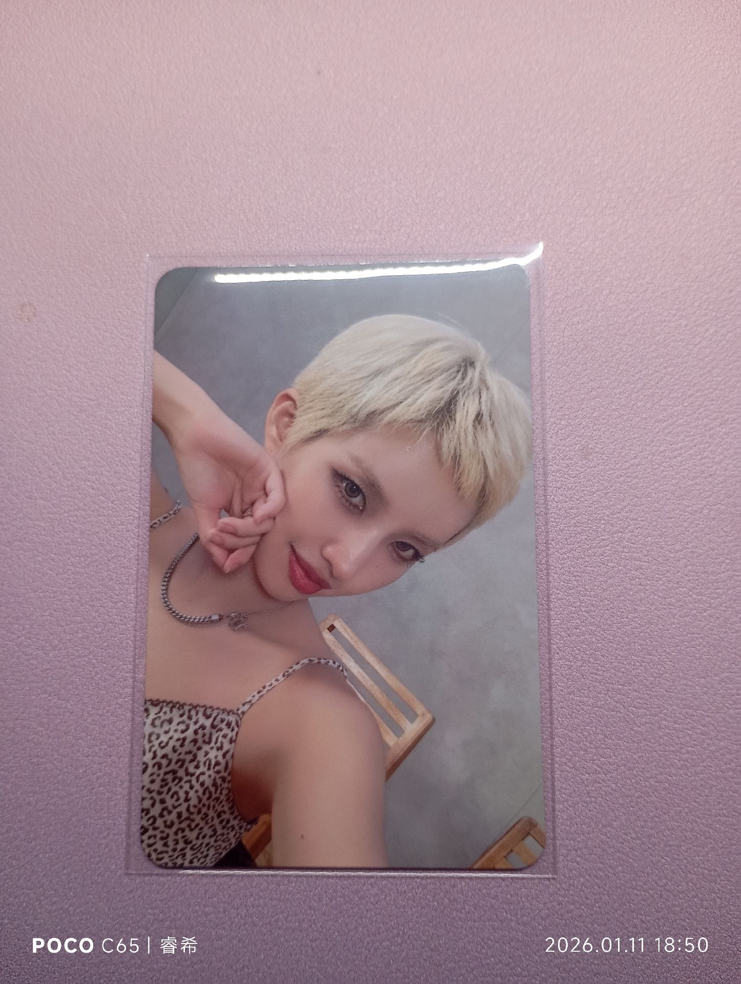 QQ音樂 星光卡 三星娟