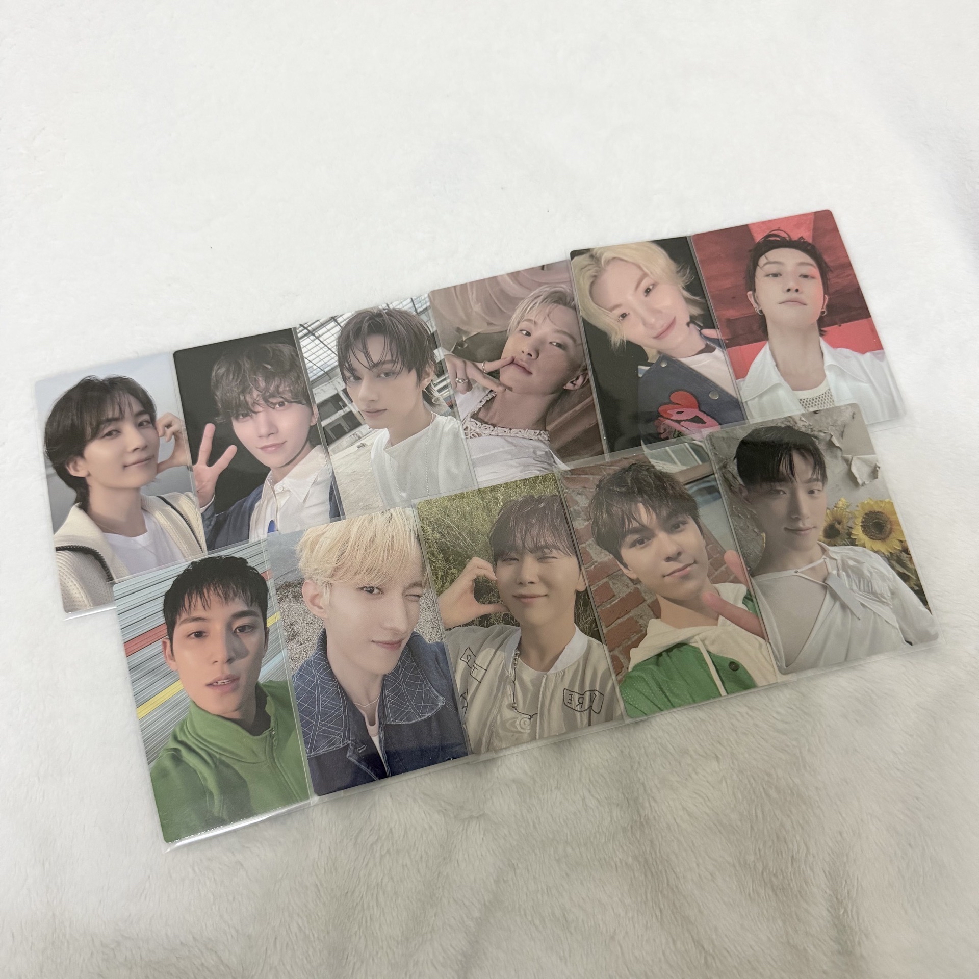 SEVENTEEN 會員禮小卡