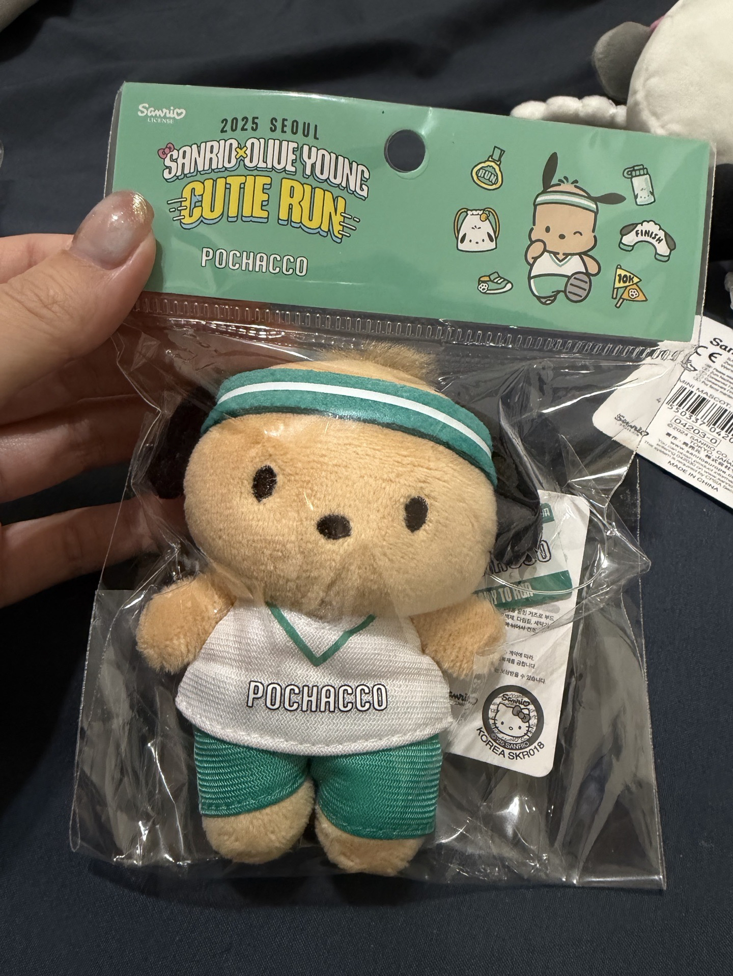 運動黑皮帕恰狗