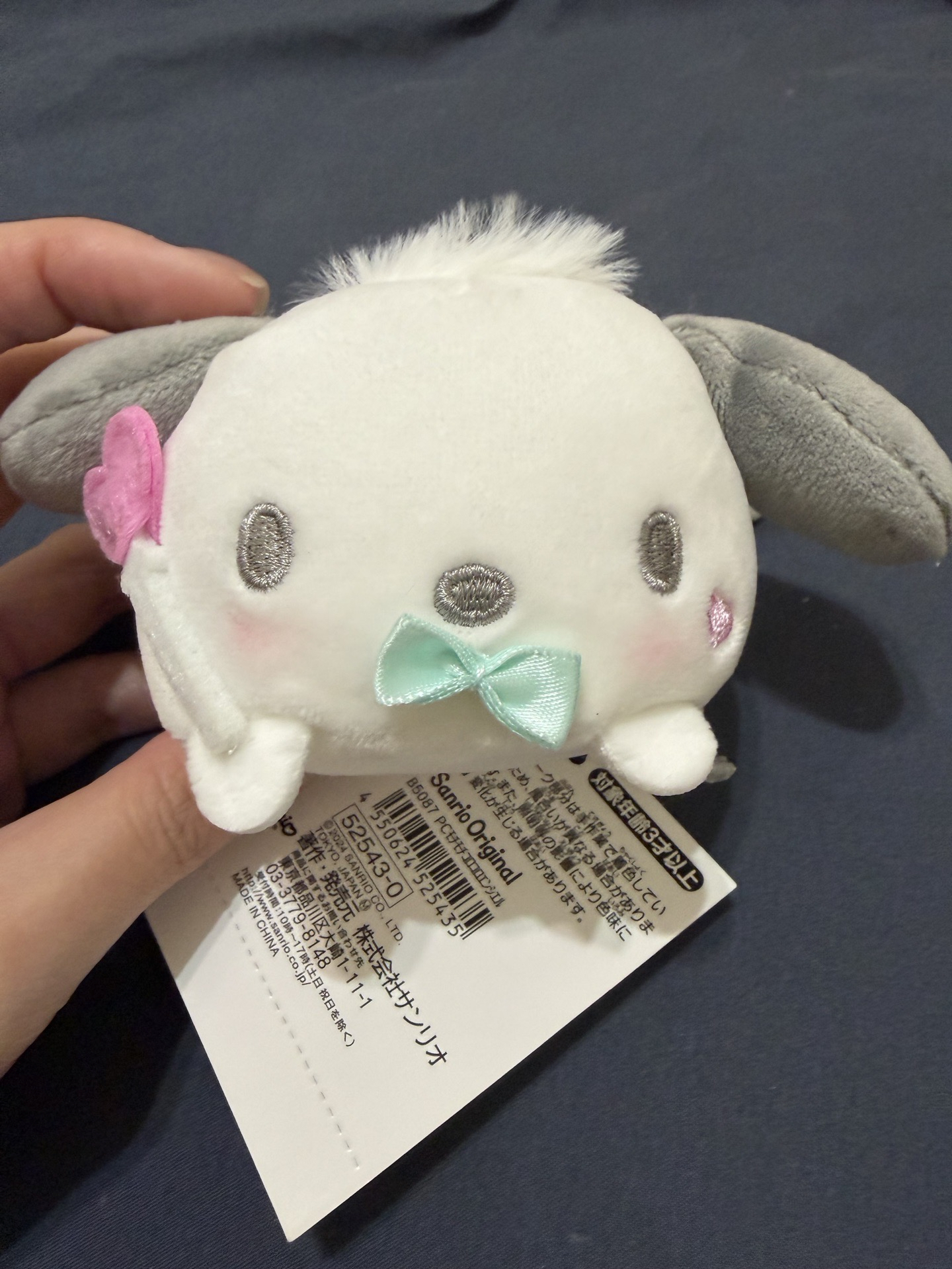 天使糰子 帕恰狗