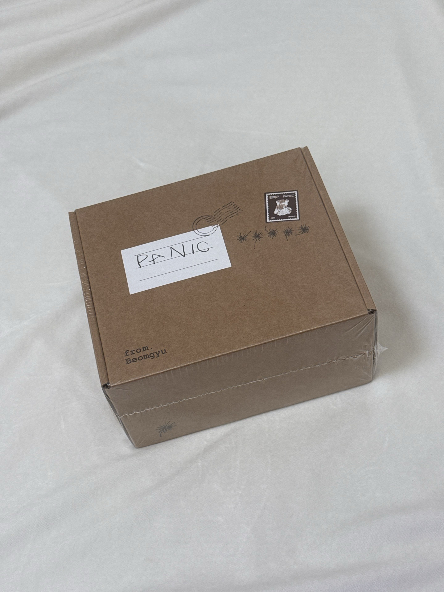 Beomgyu:Panic 未拆專