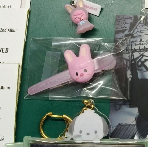 彬髮夾 只有一個