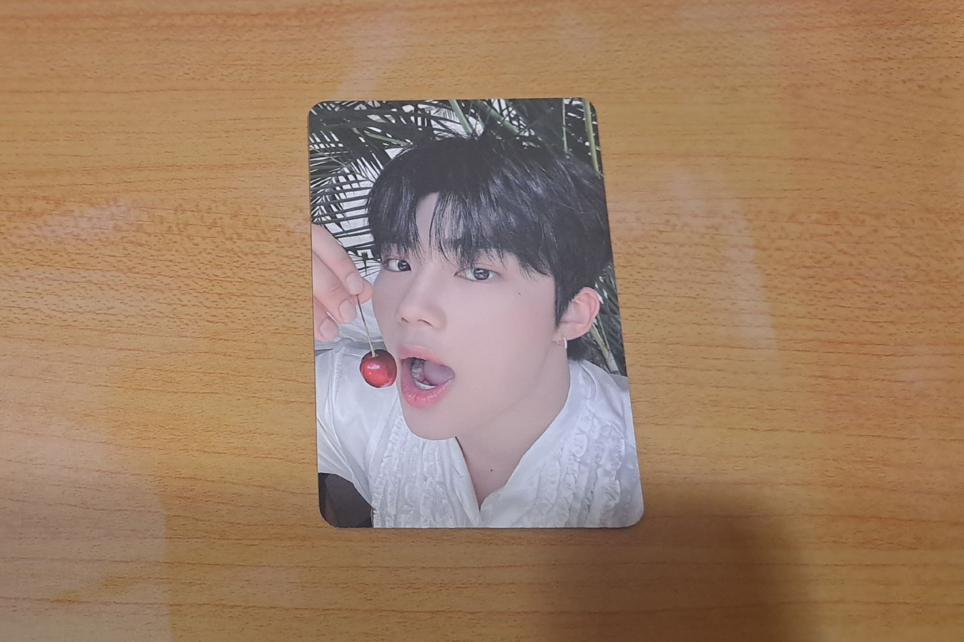 ZB1 23'FAN-CON 隨機卡