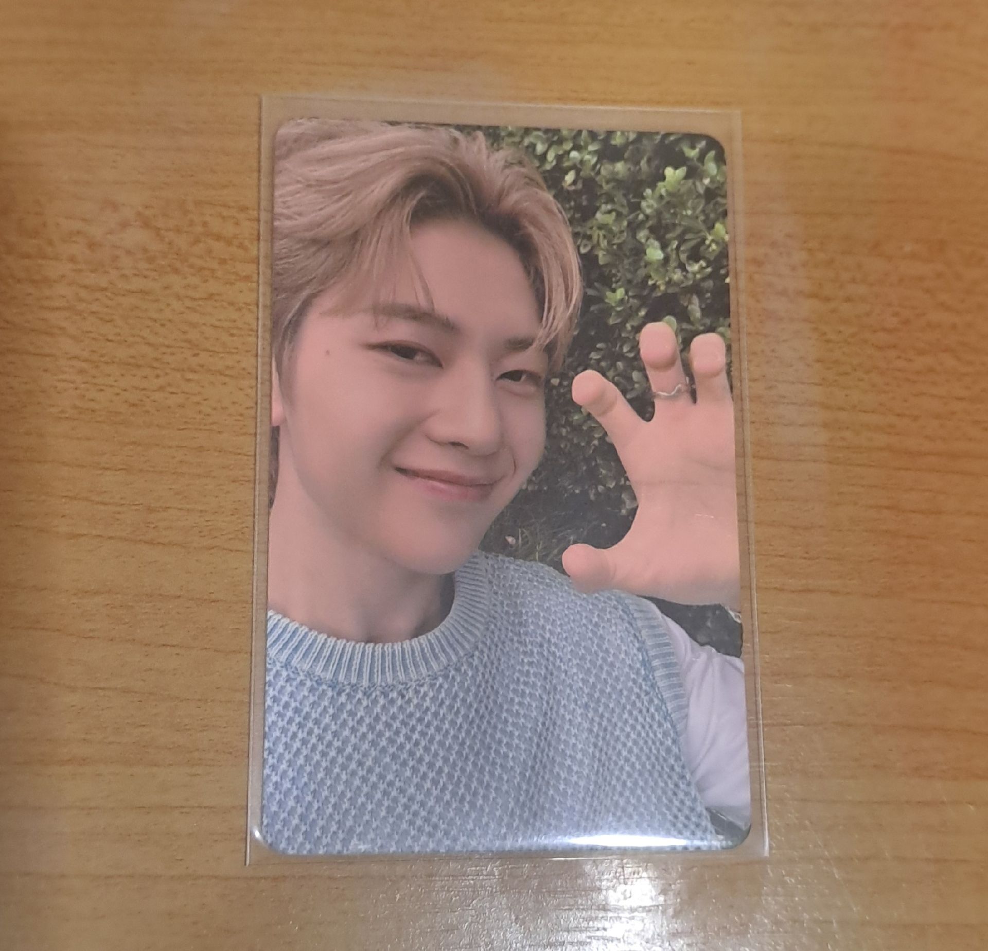 ZB1 芭蘭歌林代言卡1.0修