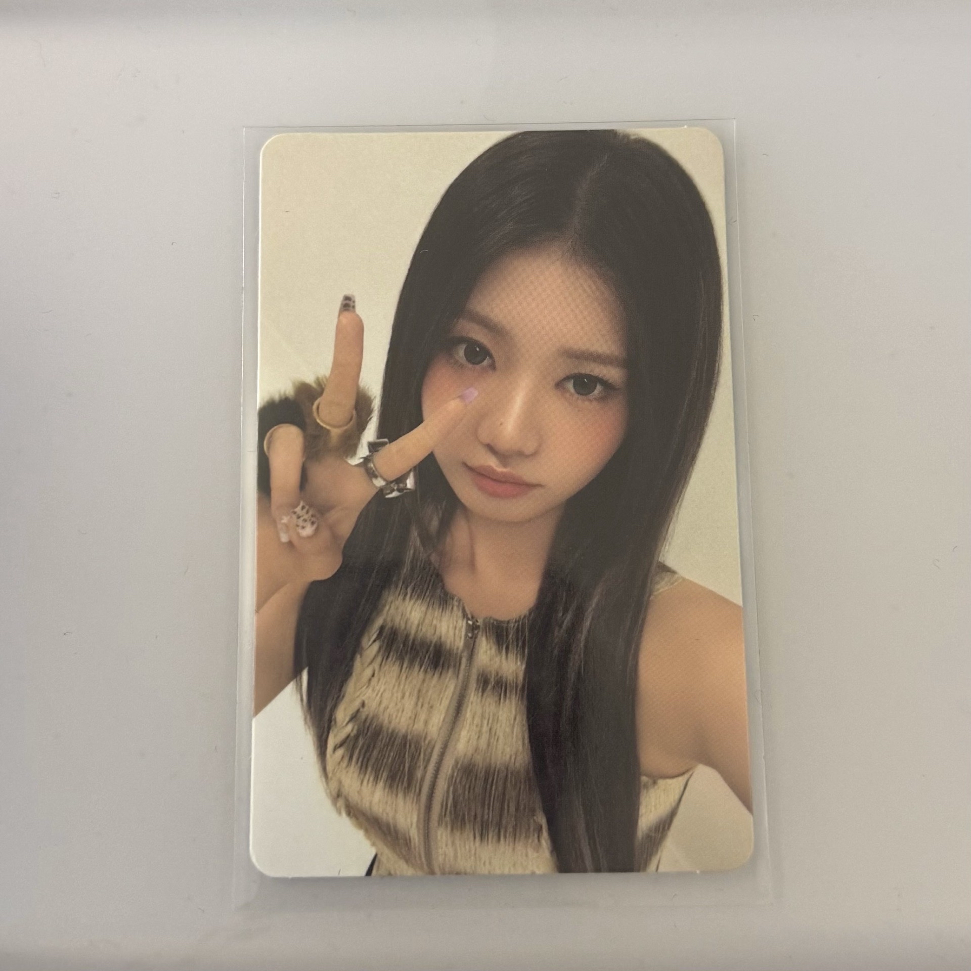 美網hello 82特典