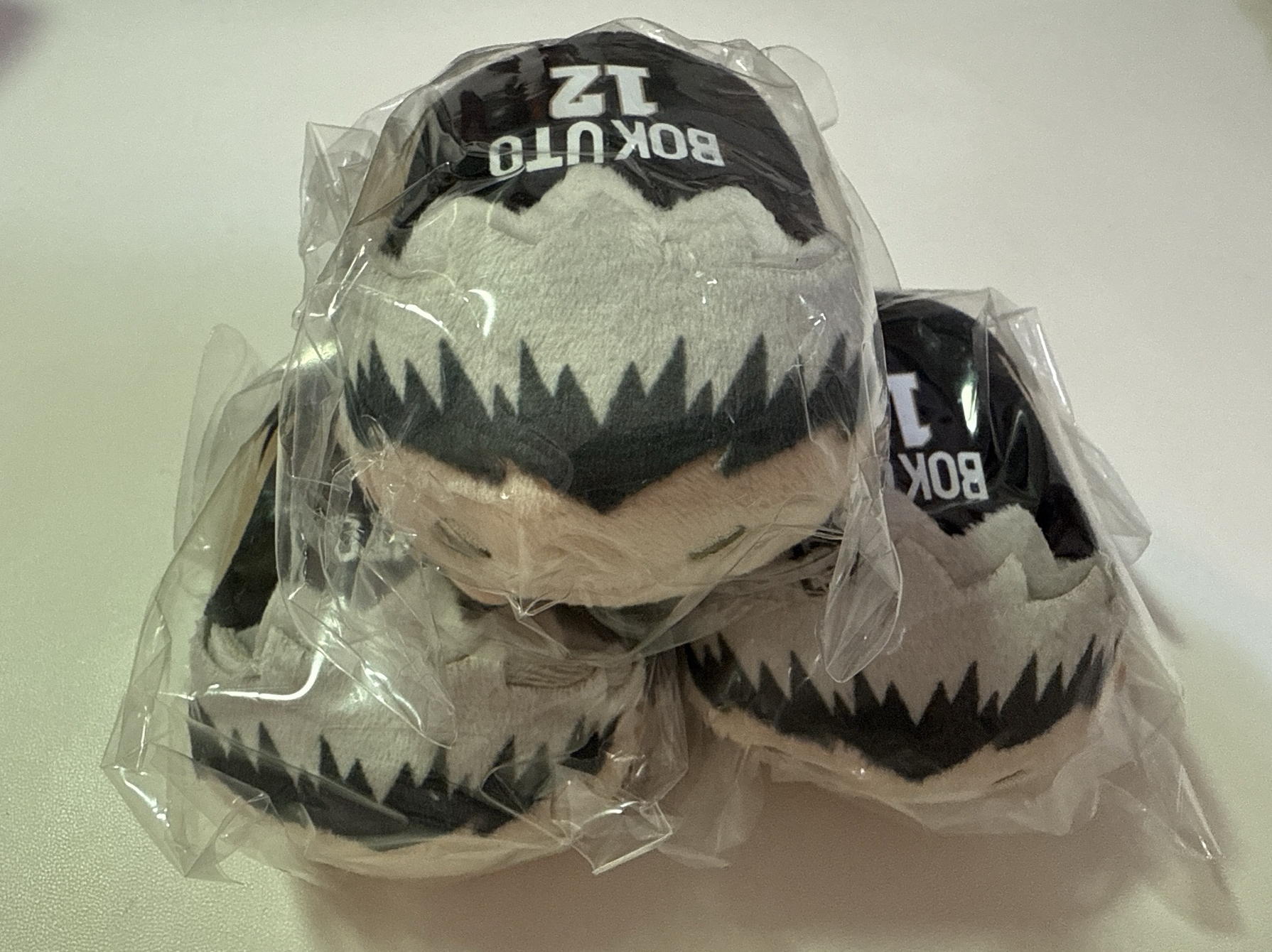 木兔十週年趴娃