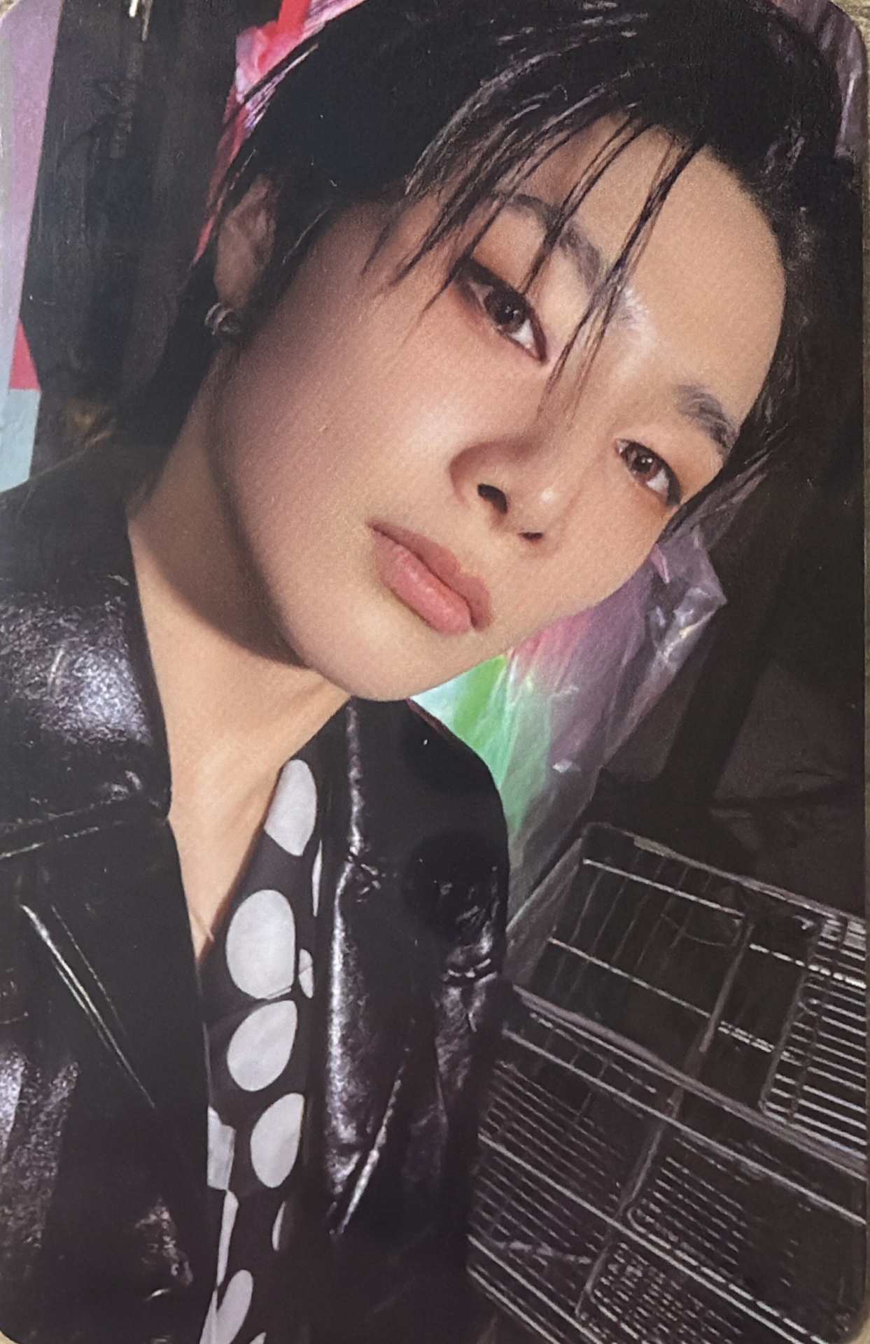 🦊DO ver.寅專卡