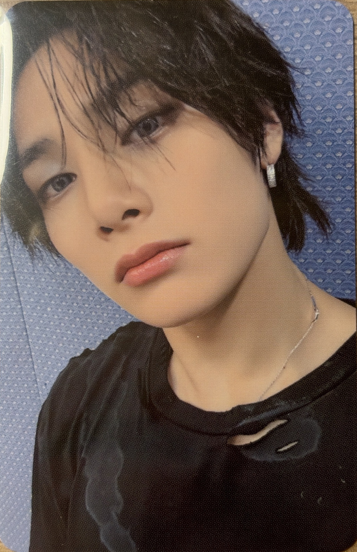 🦊電子專寅預售禮