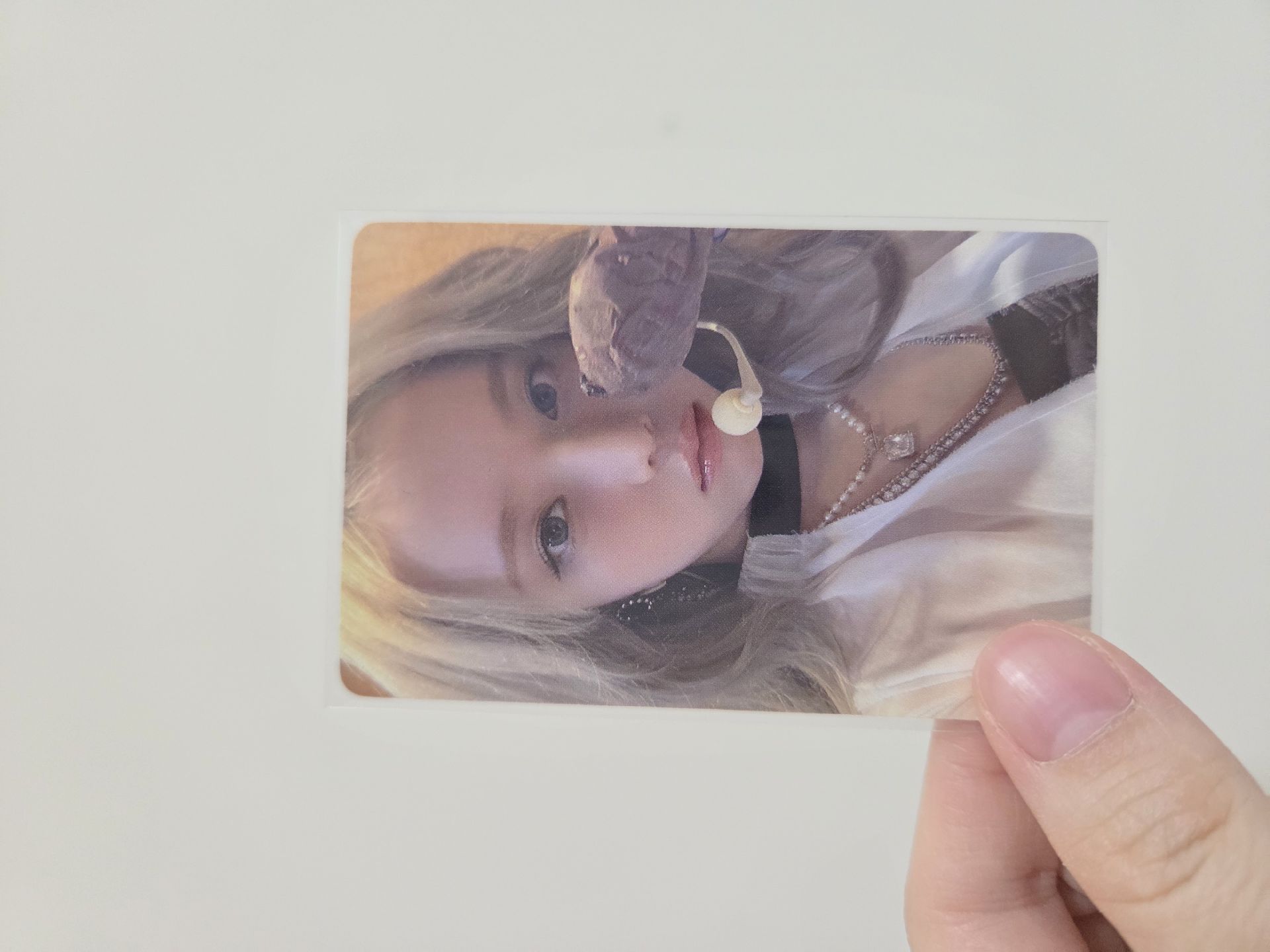 上海滿額地瓜冬