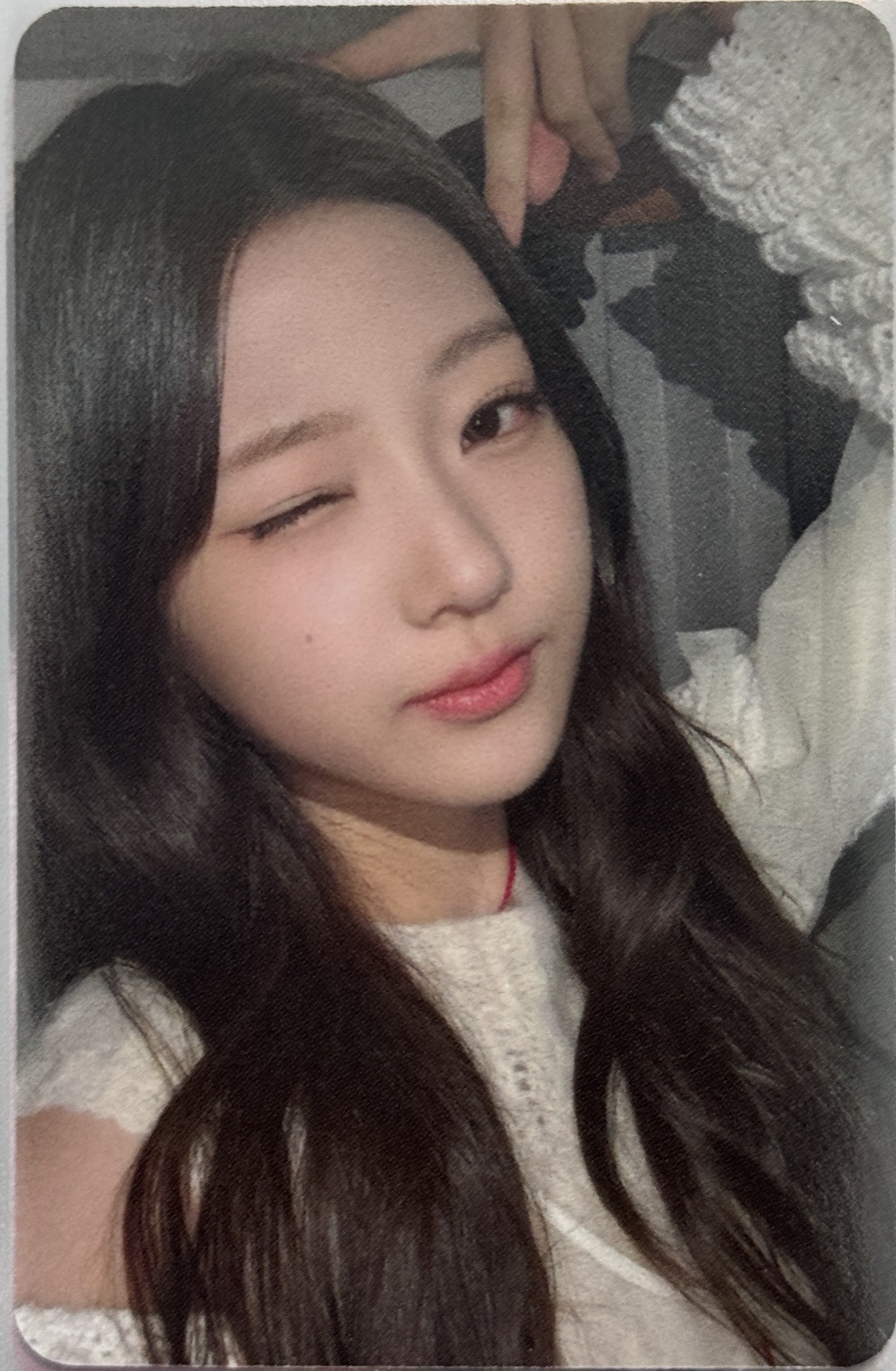 貓耳stella😉-sr特典