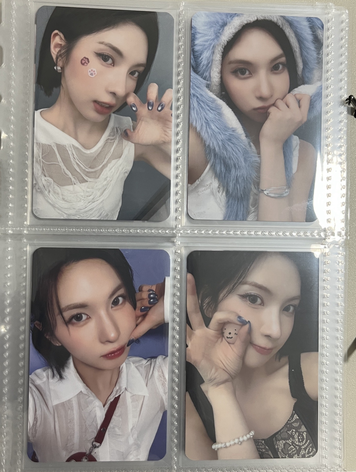 🐦BV正規一  裴特典