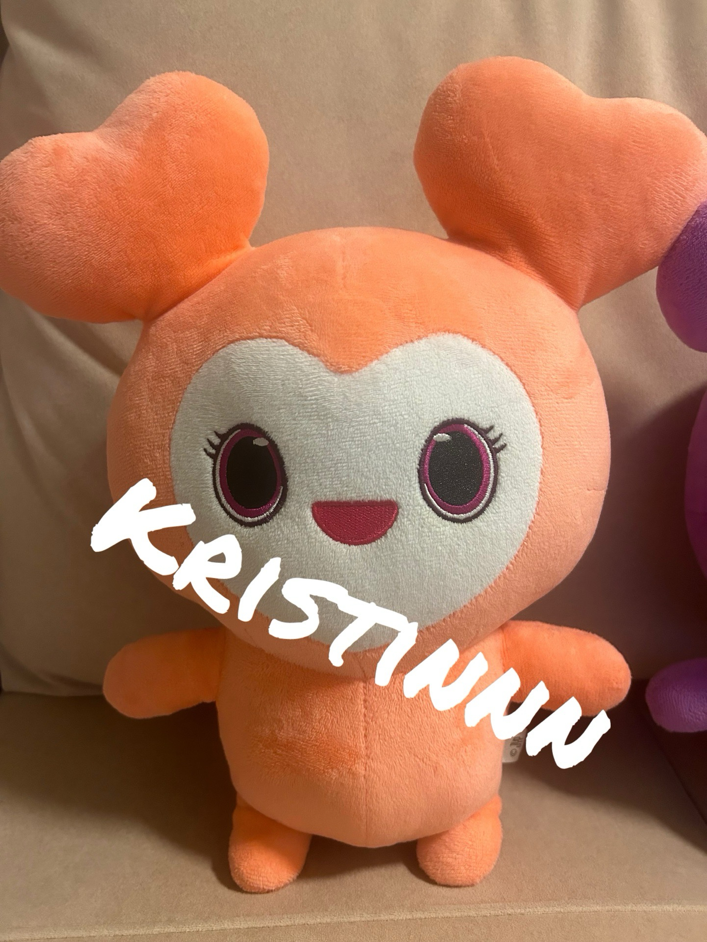 TWICE LOVELY BDZ 娃娃（非全新）