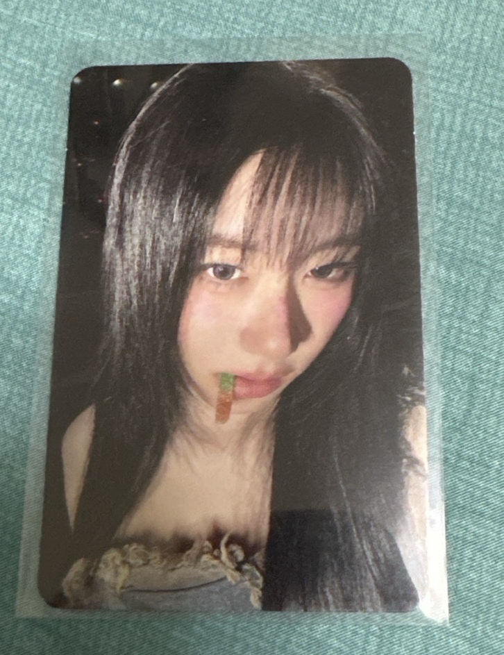 TNVS 單封 專輯卡 