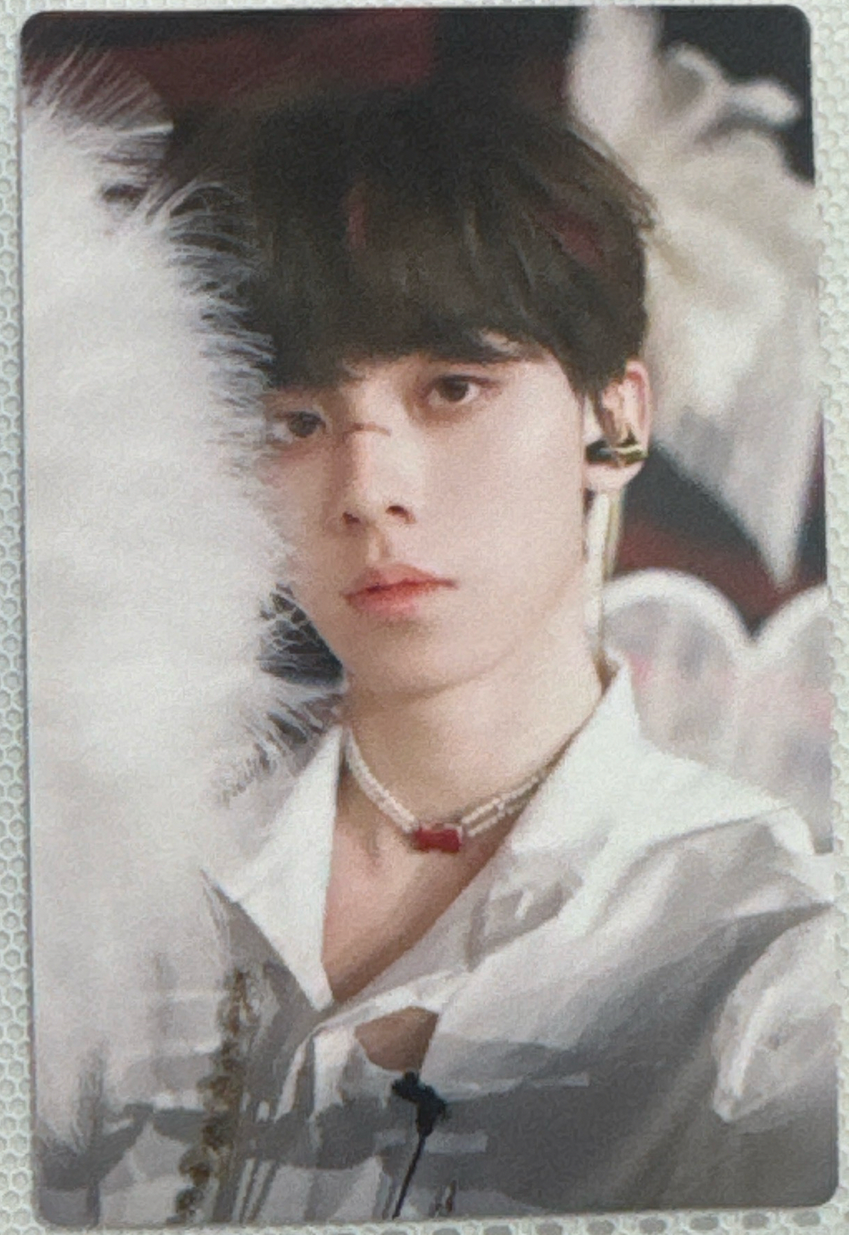 布幕之後 左航（現貨）