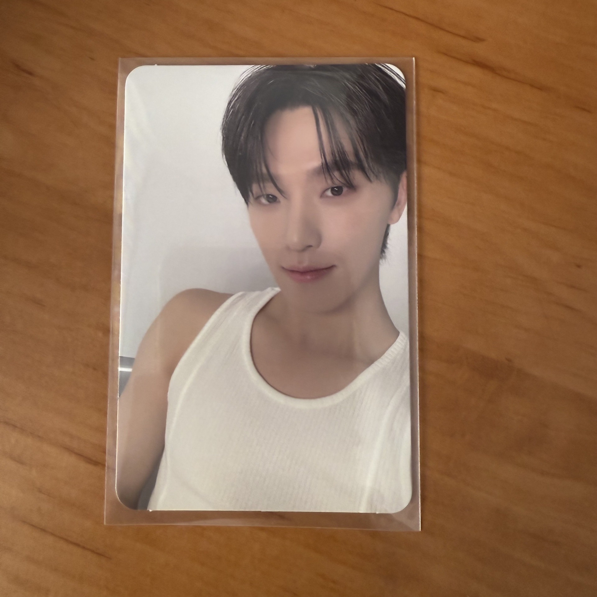 Dino 親愛盤 專卡