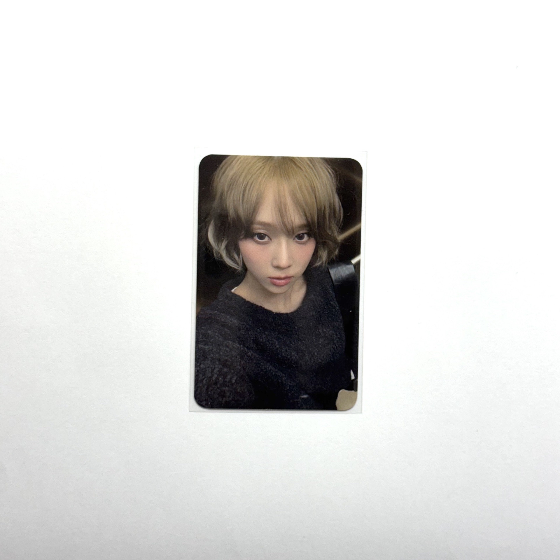 Whiplash JP簽售冬