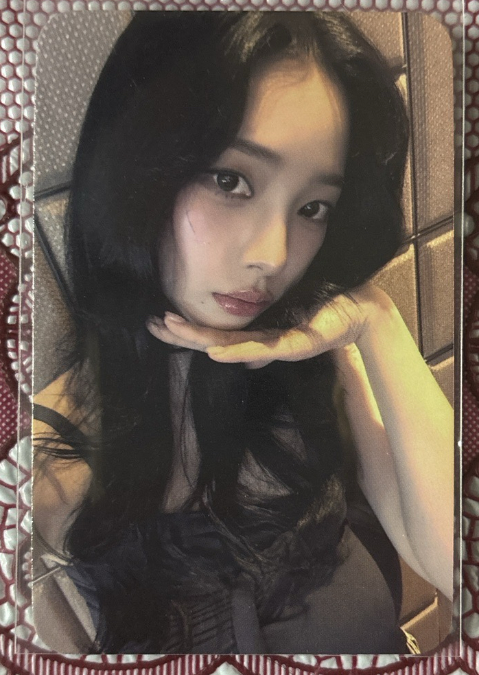 Rich Man wf MUSINSA 幸運卡 柚