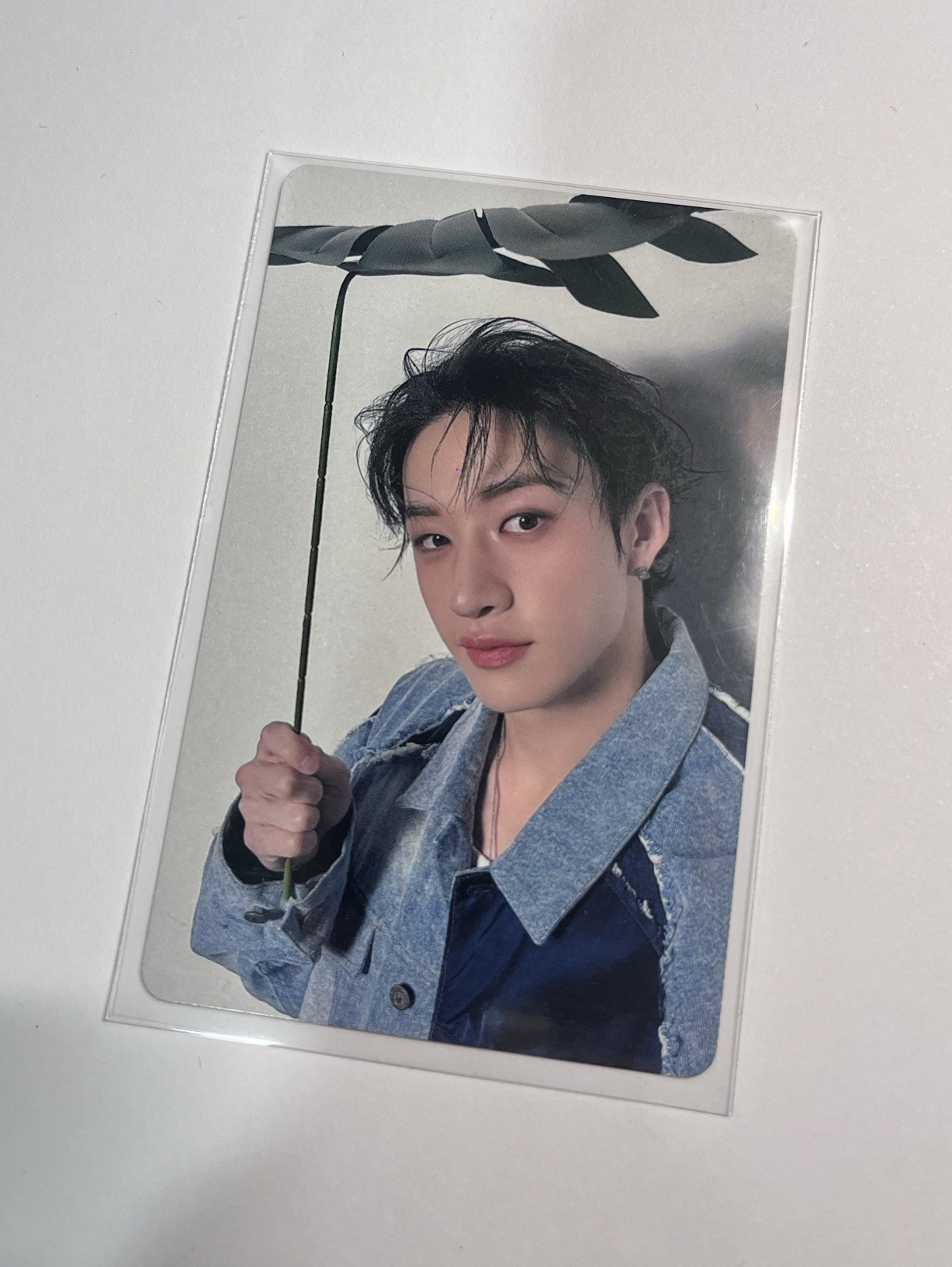 燦 Hollow靜岡場限