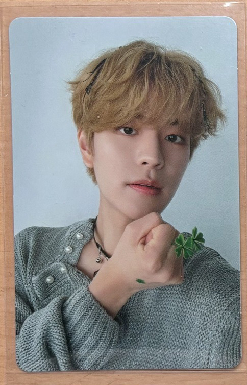 social path專卡玟