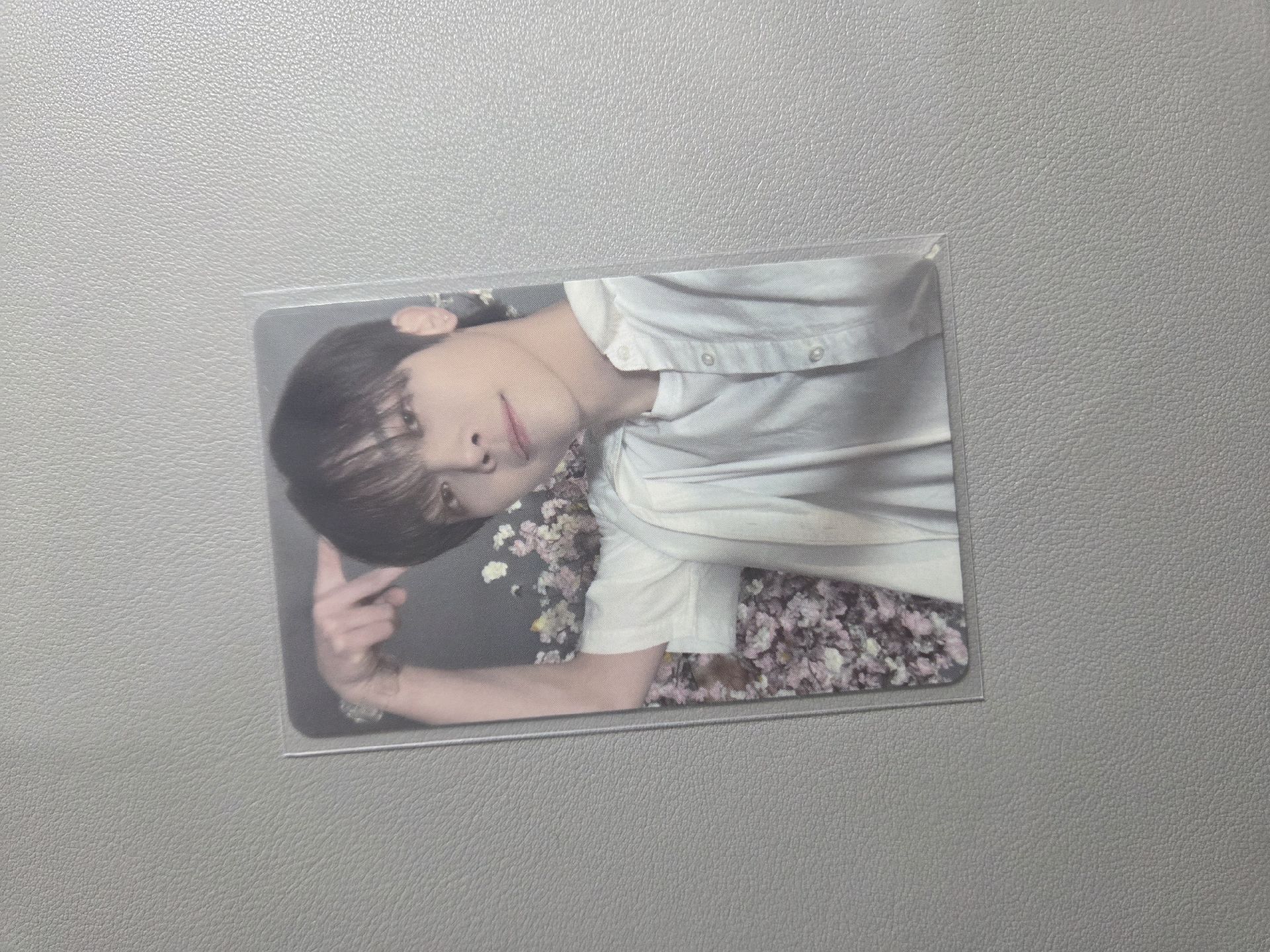 五月雨貓耳nicho