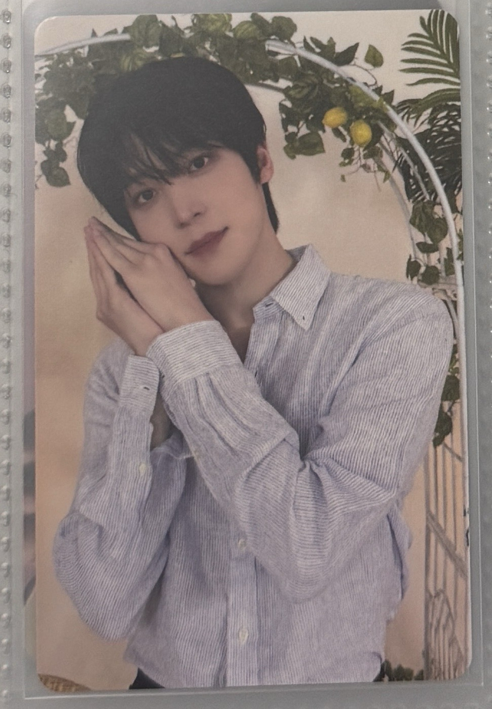 潤🐶 麥梯子滿額卡