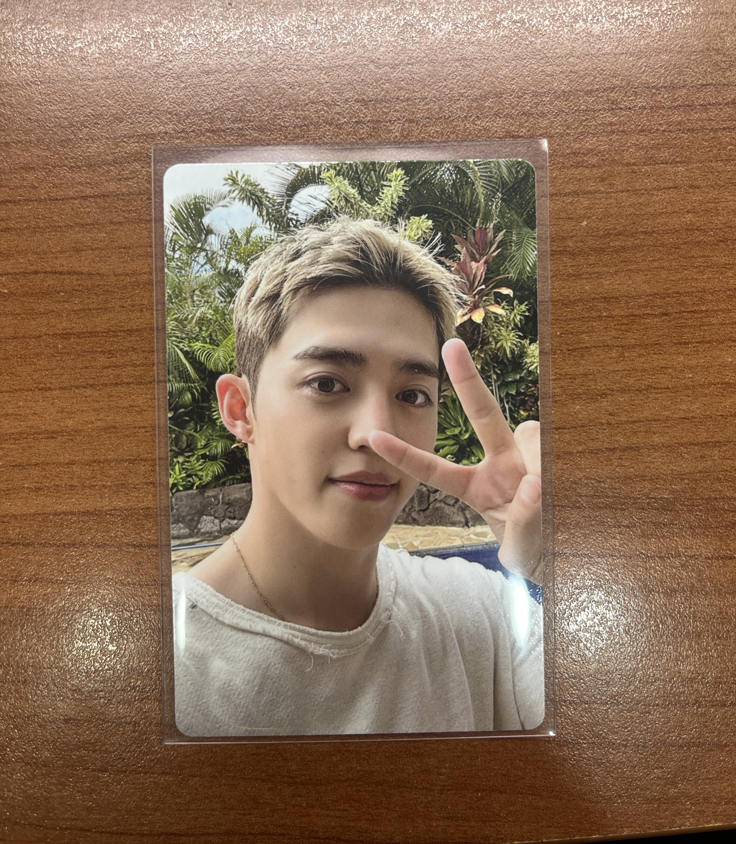 seventeen 哲 CxM專輯卡