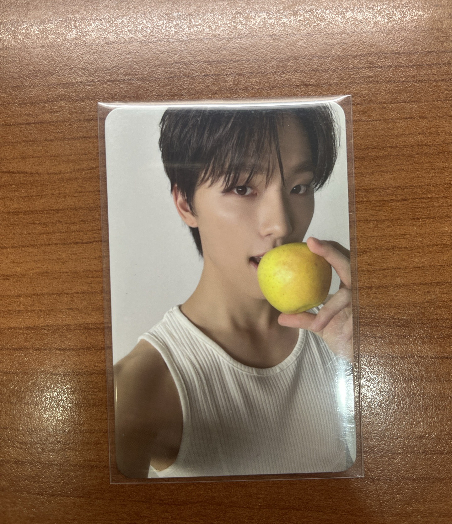 seventeen 燦 精選專小卡