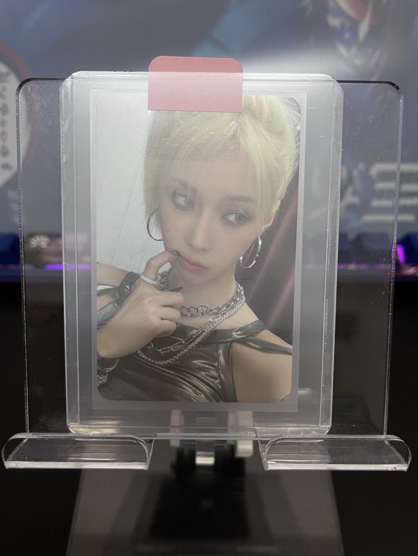 正規一 WM預售冬