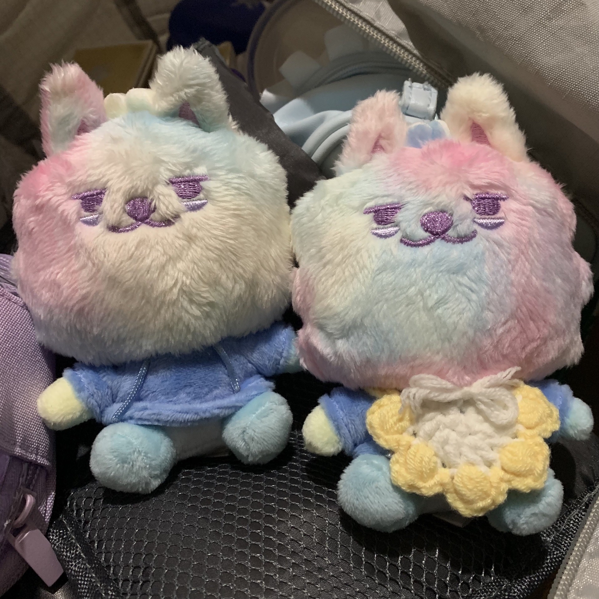 彩色勇猛（右邊）