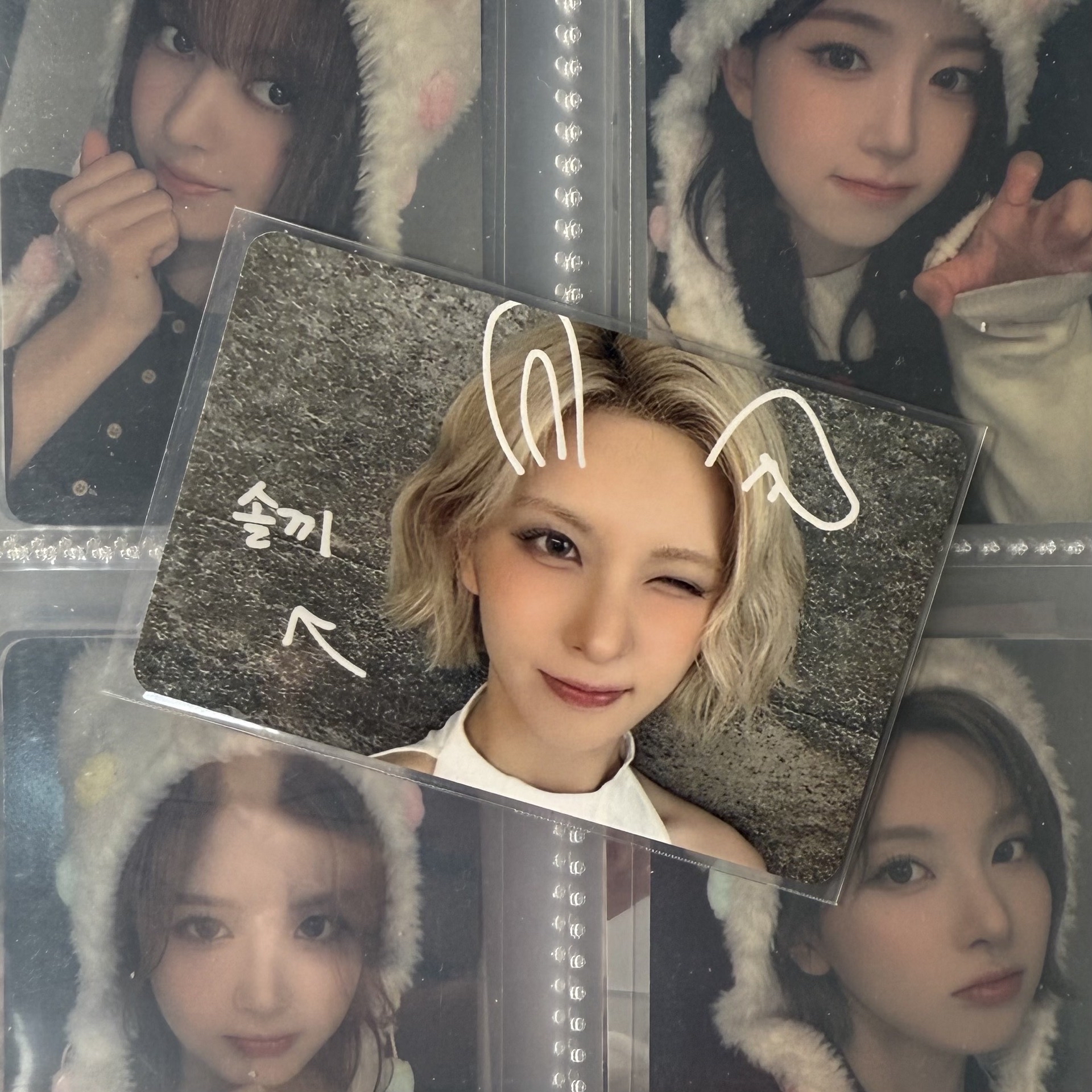 FORWARD ms寵物鏡頭 裴