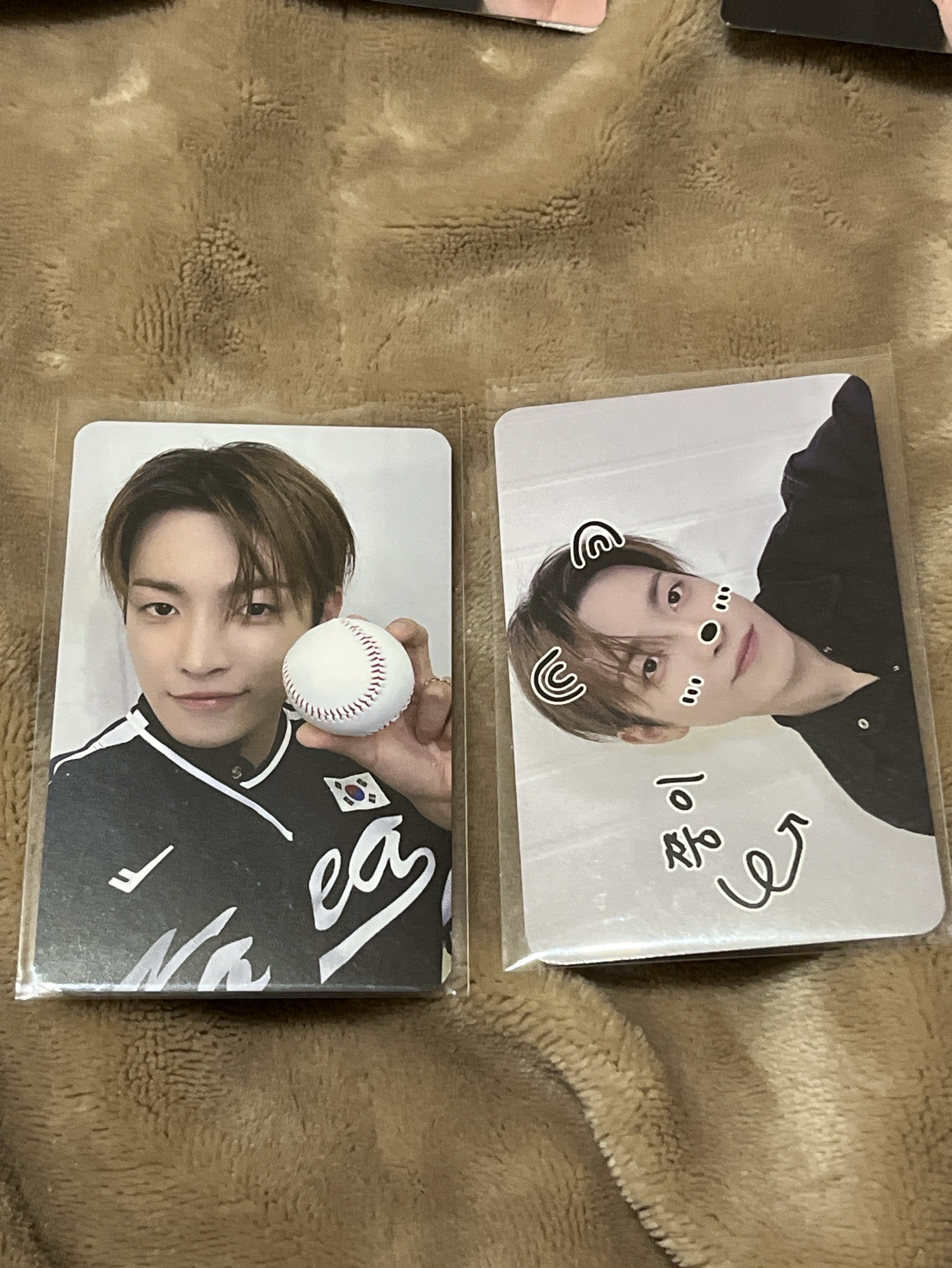 寵物棒球中 可單買