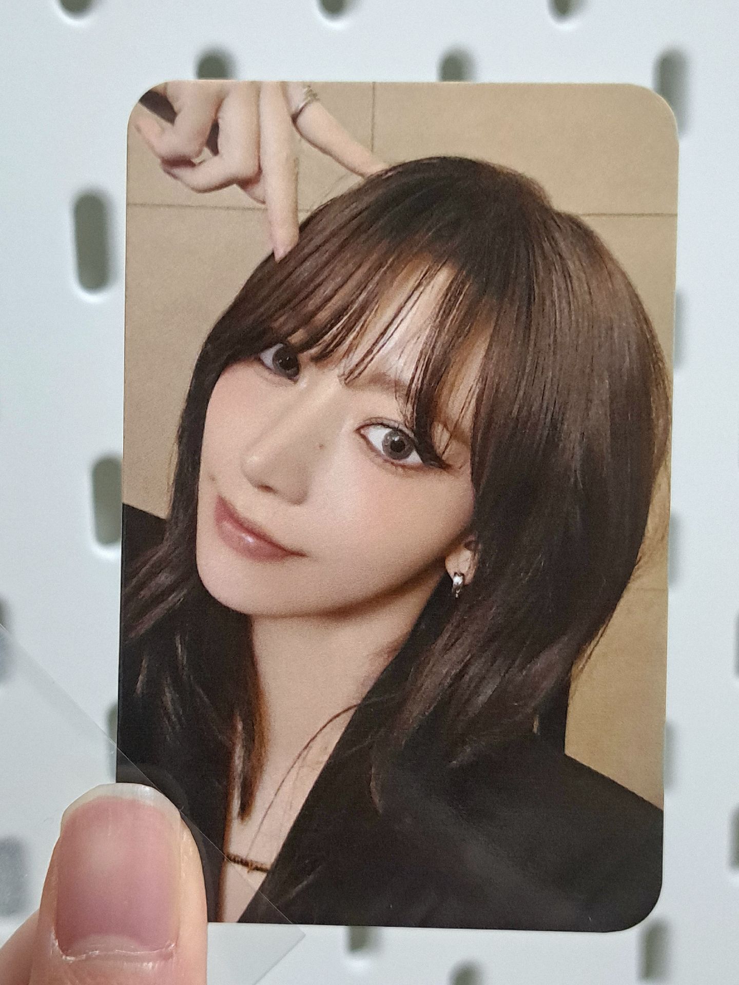 HOT 數星星 3.0 簽售卡 櫻 金手小貓咪在此