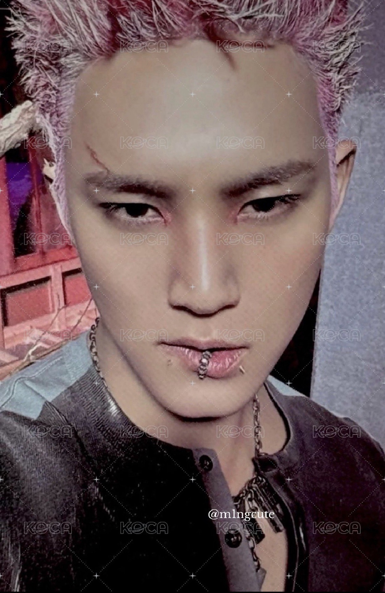 奎打歌卡（價格已含綁）