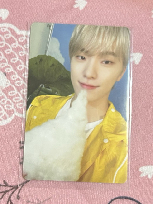 迷11 克拉盤 雨衣燦