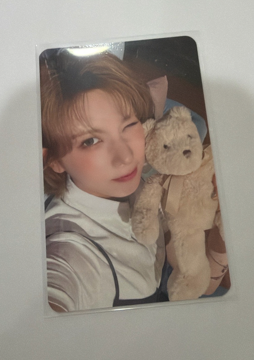 #售 抱熊裴（綁賣場其他卡500$自選）