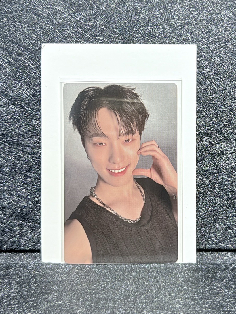 Mini12 wvs克拉盤特典燦