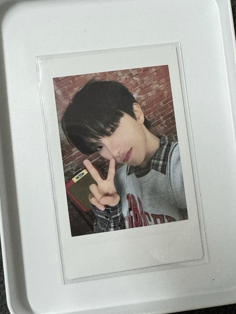 KNOCK ON 隨機拍立得 雲鶴