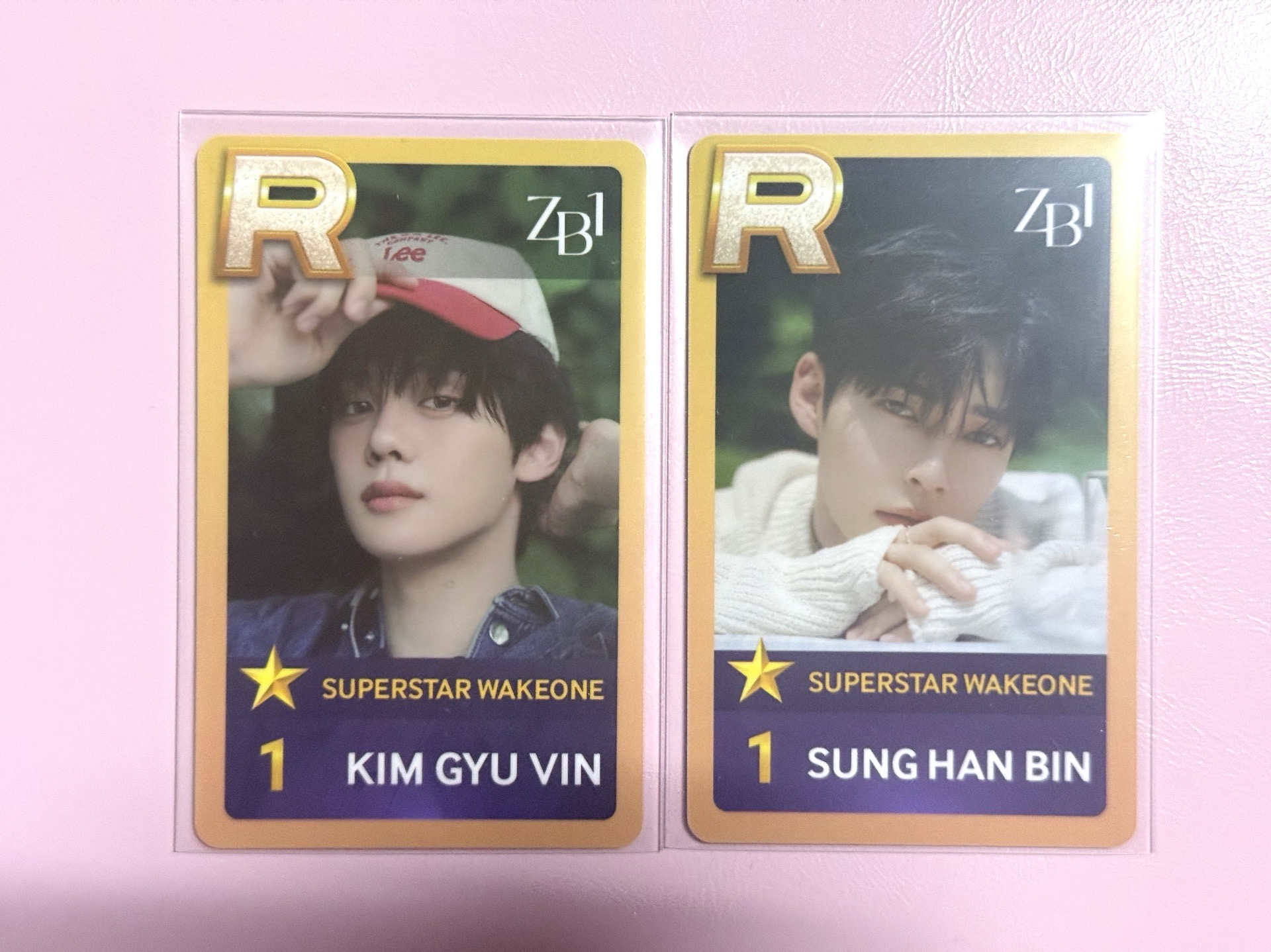 遊戲卡-金奎彬、成韓彬