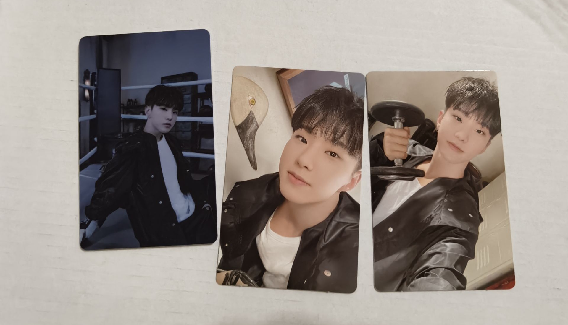 miniteen卡套（榮）、attacca OP2、OP3空專、迷12電子專、FML電子專