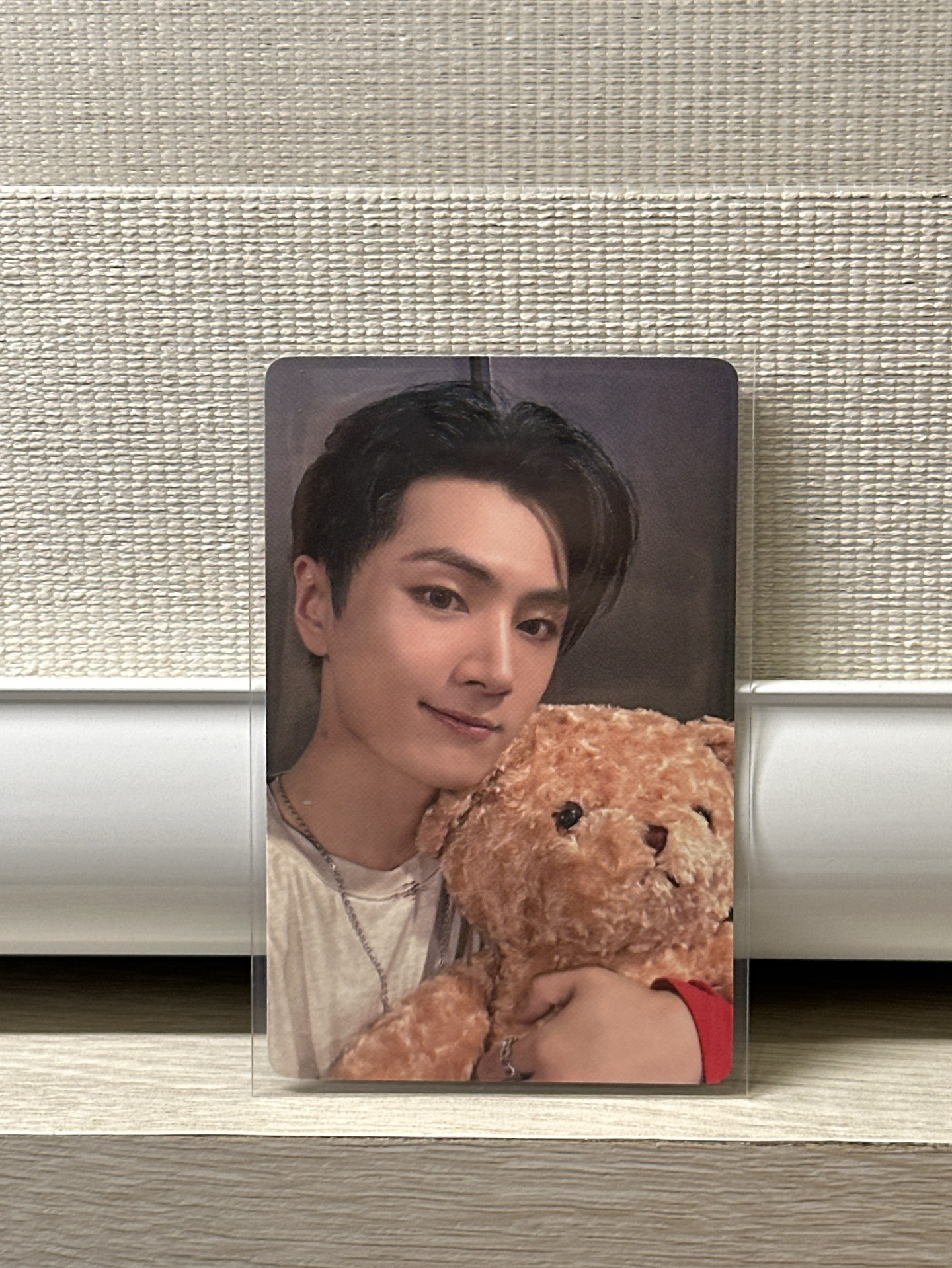 正二一直娛抱熊星