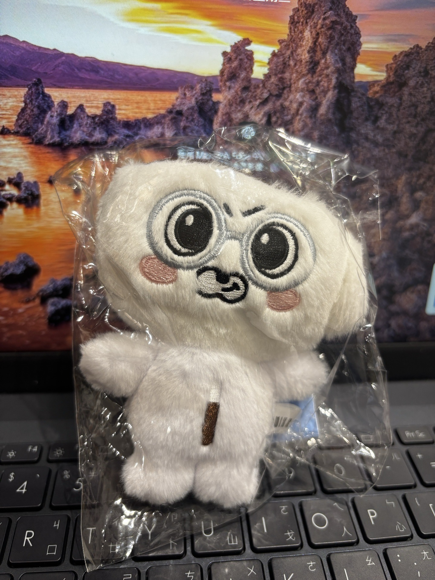 NMOXX 飯咪 海嫄 咖啡杯大娃 送一張滿額卡