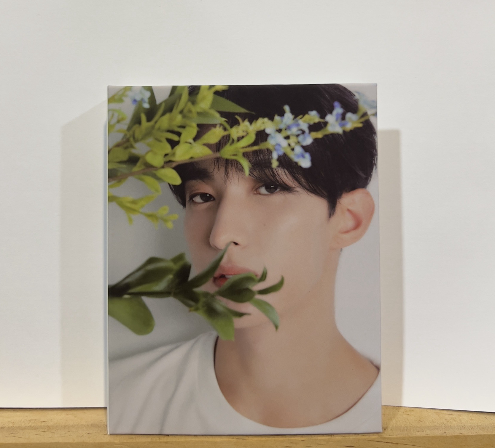 精選專 專輯克拉盤 DK封